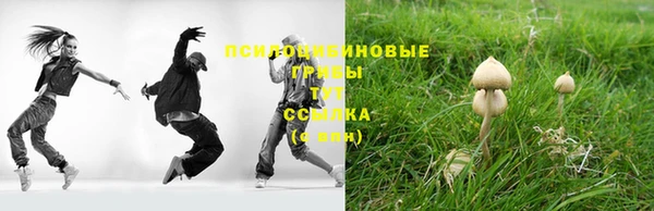 гидра Богородск