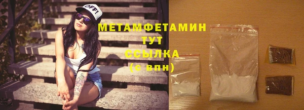 гидра Богородск