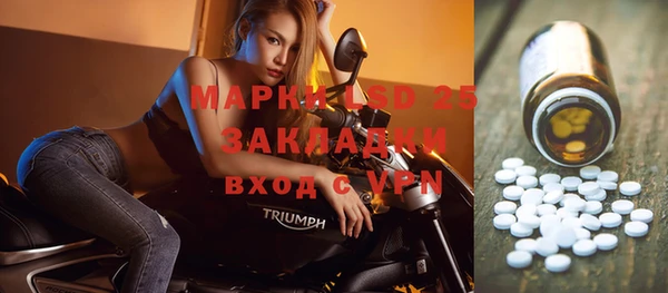 гашик Белокуриха