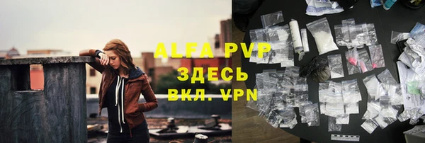 гидра Богородск