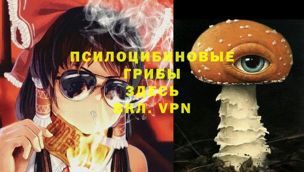 гашик Белокуриха