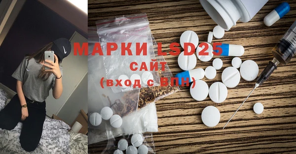 гидра Богородск