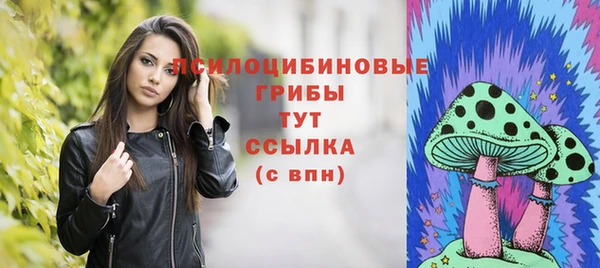 гашик Белокуриха