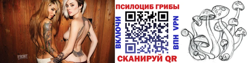 ОМГ ОМГ рабочий сайт  Среднеуральск  Галлюциногенные грибы Psilocybine cubensis 